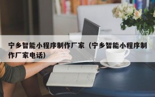 东台宁乡智能小程序制作厂家（宁乡智能小程序制作厂家电话）